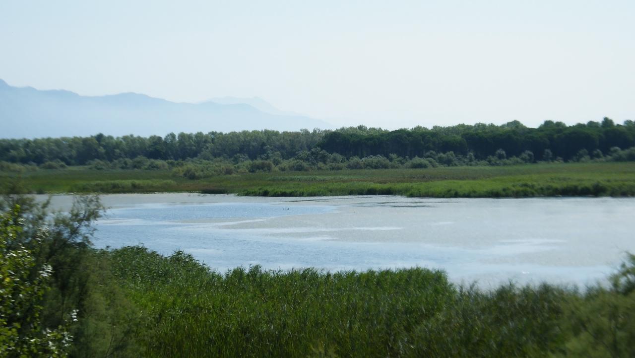 Hotel Aquarius Velipojë Екстериор снимка